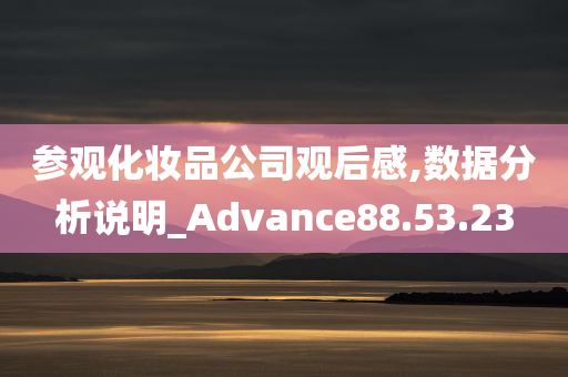 参观化妆品公司观后感,数据分析说明_Advance88.53.23