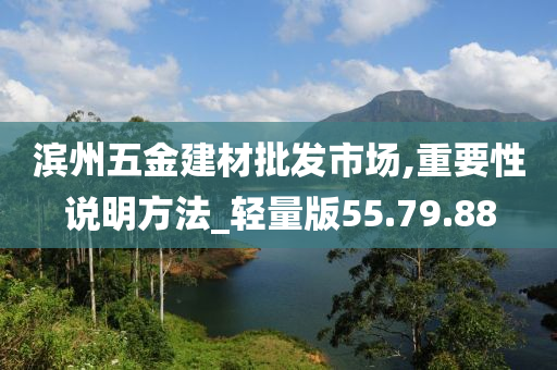 滨州五金建材批发市场,重要性说明方法_轻量版55.79.88