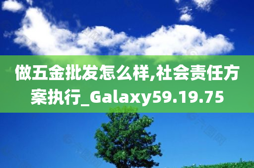 做五金批发怎么样,社会责任方案执行_Galaxy59.19.75