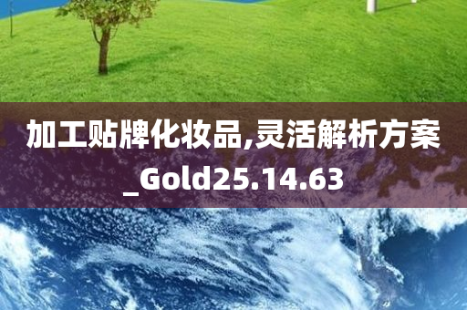 加工贴牌化妆品,灵活解析方案_Gold25.14.63