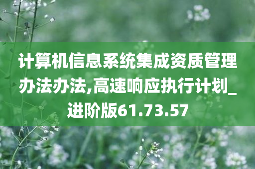 计算机信息系统集成资质管理办法办法,高速响应执行计划_进阶版61.73.57