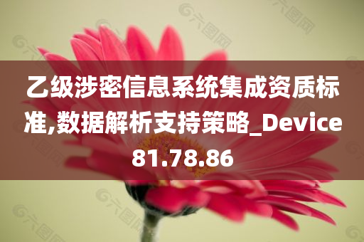 乙级涉密信息系统集成资质标准,数据解析支持策略_Device81.78.86