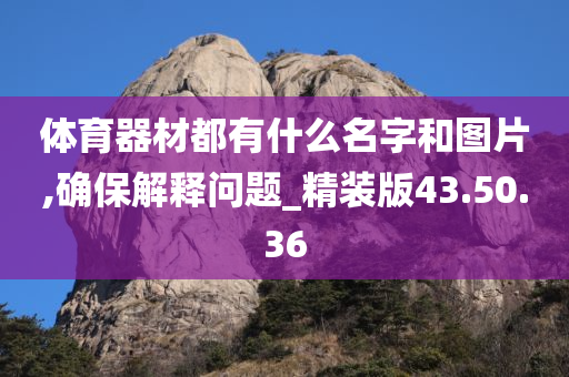 体育器材都有什么名字和图片,确保解释问题_精装版43.50.36