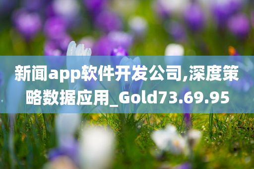 新闻app软件开发公司,深度策略数据应用_Gold73.69.95