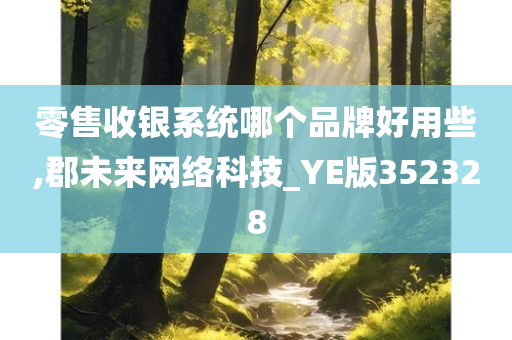 零售收银系统哪个品牌好用些,郡未来网络科技_YE版352328