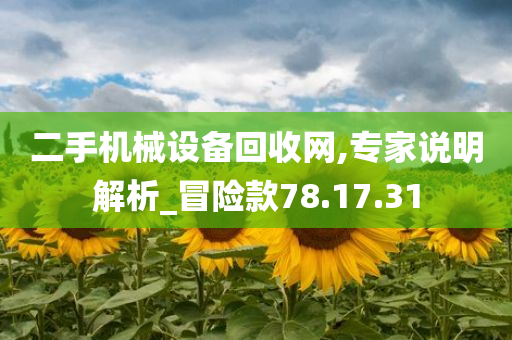 二手机械设备回收网,专家说明解析_冒险款78.17.31