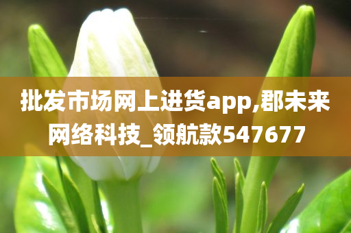 批发市场网上进货app,郡未来网络科技_领航款547677