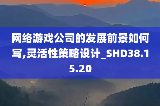 网络游戏公司的发展前景如何写,灵活性策略设计_SHD38.15.20