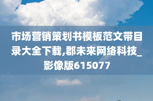 市场营销策划书模板范文带目录大全下载,郡未来网络科技_影像版615077