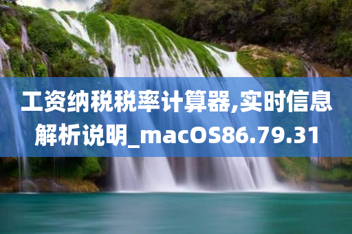 工资纳税税率计算器,实时信息解析说明_macOS86.79.31