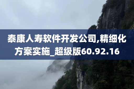 泰康人寿软件开发公司,精细化方案实施_超级版60.92.16