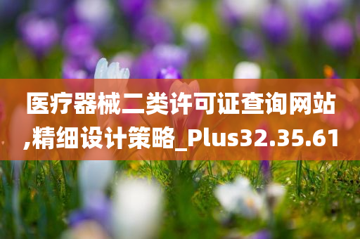 医疗器械二类许可证查询网站,精细设计策略_Plus32.35.61