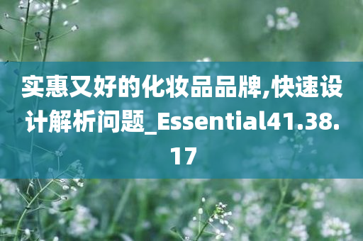 实惠又好的化妆品品牌,快速设计解析问题_Essential41.38.17