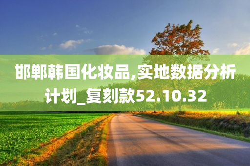 邯郸韩国化妆品,实地数据分析计划_复刻款52.10.32