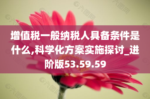 增值税一般纳税人具备条件是什么,科学化方案实施探讨_进阶版53.59.59