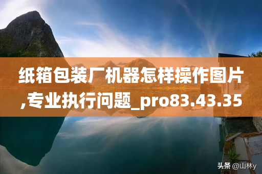 纸箱包装厂机器怎样操作图片,专业执行问题_pro83.43.35