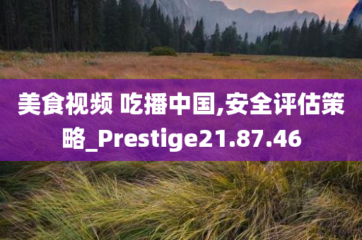 美食视频 吃播中国,安全评估策略_Prestige21.87.46