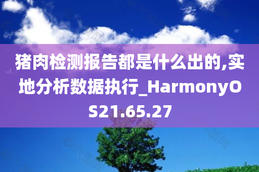 猪肉检测报告都是什么出的,实地分析数据执行_HarmonyOS21.65.27