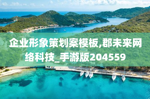 企业形象策划案模板,郡未来网络科技_手游版204559