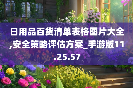 日用品百货清单表格图片大全,安全策略评估方案_手游版11.25.57