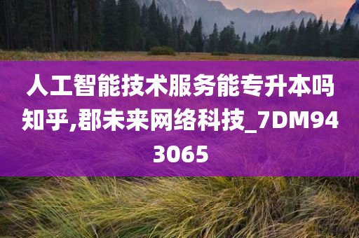 人工智能技术服务能专升本吗知乎,郡未来网络科技_7DM943065