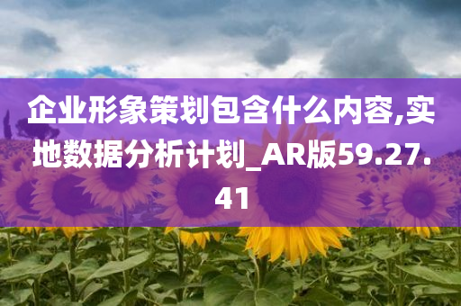 企业形象策划包含什么内容,实地数据分析计划_AR版59.27.41