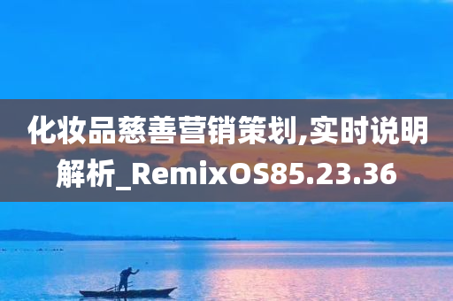 化妆品慈善营销策划,实时说明解析_RemixOS85.23.36