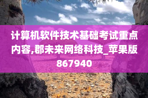 计算机软件技术基础考试重点内容,郡未来网络科技_苹果版867940