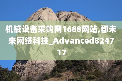 机械设备采购网1688网站,郡未来网络科技_Advanced824717