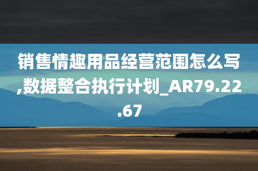 销售情趣用品经营范围怎么写,数据整合执行计划_AR79.22.67