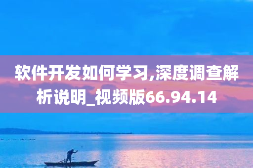 软件开发如何学习,深度调查解析说明_视频版66.94.14