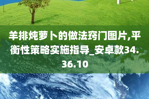 羊排炖萝卜的做法窍门图片,平衡性策略实施指导_安卓款34.36.10