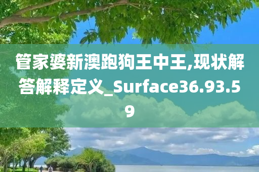 管家婆新澳跑狗王中王,现状解答解释定义_Surface36.93.59