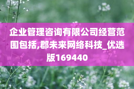 企业管理咨询有限公司经营范围包括,郡未来网络科技_优选版169440