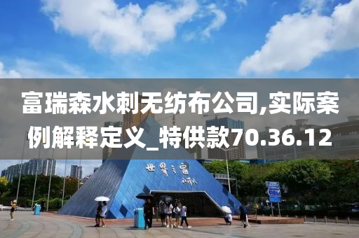 富瑞森水刺无纺布公司,实际案例解释定义_特供款70.36.12