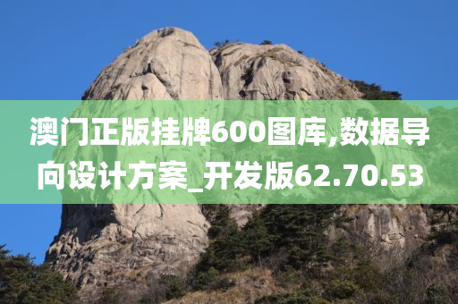 澳门正版挂牌600图库,数据导向设计方案_开发版62.70.53