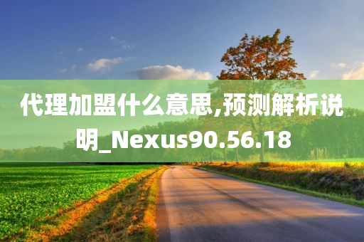 代理加盟什么意思,预测解析说明_Nexus90.56.18