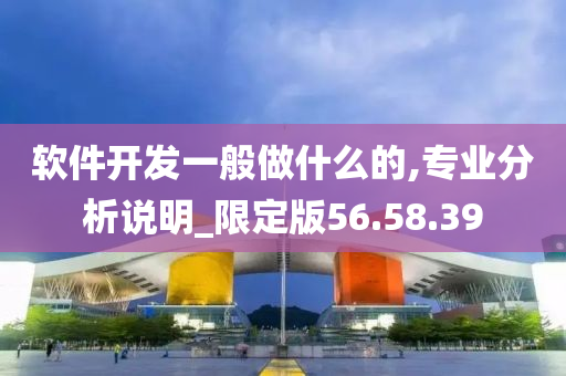 软件开发一般做什么的,专业分析说明_限定版56.58.39