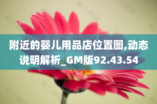 附近的婴儿用品店位置图,动态说明解析_GM版92.43.54