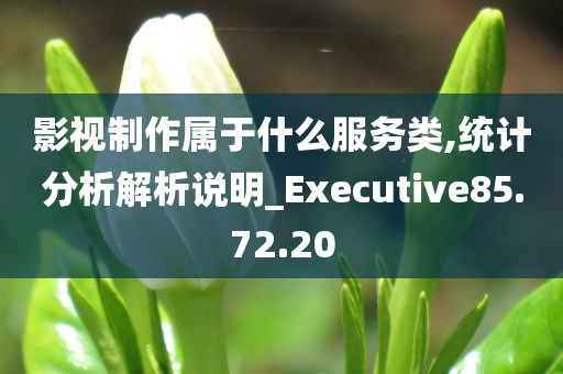 影视制作属于什么服务类,统计分析解析说明_Executive85.72.20