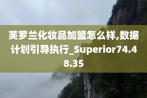 芙罗兰化妆品加盟怎么样,数据计划引导执行_Superior74.48.35