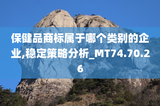 保健品商标属于哪个类别的企业,稳定策略分析_MT74.70.26