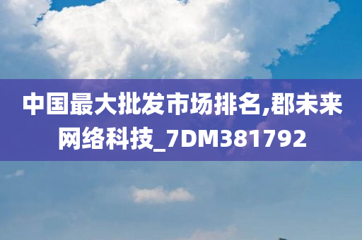 中国最大批发市场排名,郡未来网络科技_7DM381792