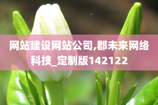 网站建设网站公司,郡未来网络科技_定制版142122