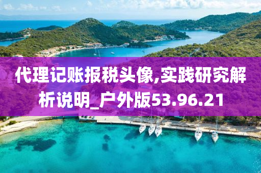 代理记账报税头像,实践研究解析说明_户外版53.96.21