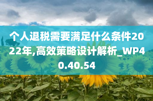 个人退税需要满足什么条件2022年,高效策略设计解析_WP40.40.54