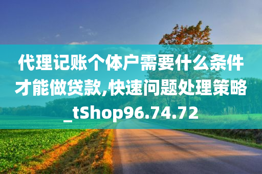 代理记账个体户需要什么条件才能做贷款,快速问题处理策略_tShop96.74.72