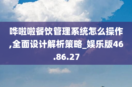 哗啦啦餐饮管理系统怎么操作,全面设计解析策略_娱乐版46.86.27