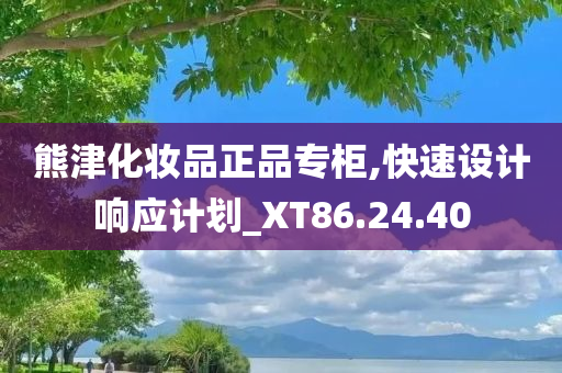 熊津化妆品正品专柜,快速设计响应计划_XT86.24.40