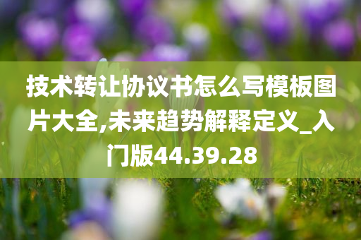 技术转让协议书怎么写模板图片大全,未来趋势解释定义_入门版44.39.28